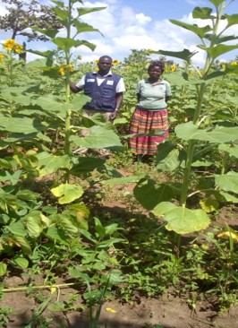 Green Economic Initiatives